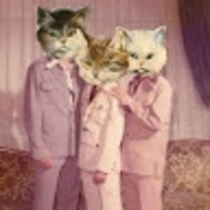 Meet your Posher, Violet